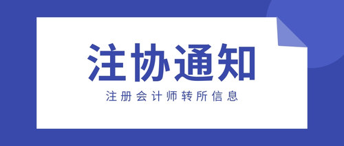 注册会计师转所信息.jpg